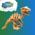 Skeleton Velociraptor