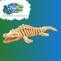 Skeleton Mosasaurus
