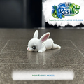 Mini 3D Rabbit Model (10)