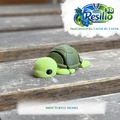 Mini 3D Turtle Model (10)