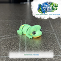 Mini 3D Frog Model by Resilio 3D