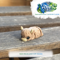 Mini 3D Highland Cow Model by Resilio 3D